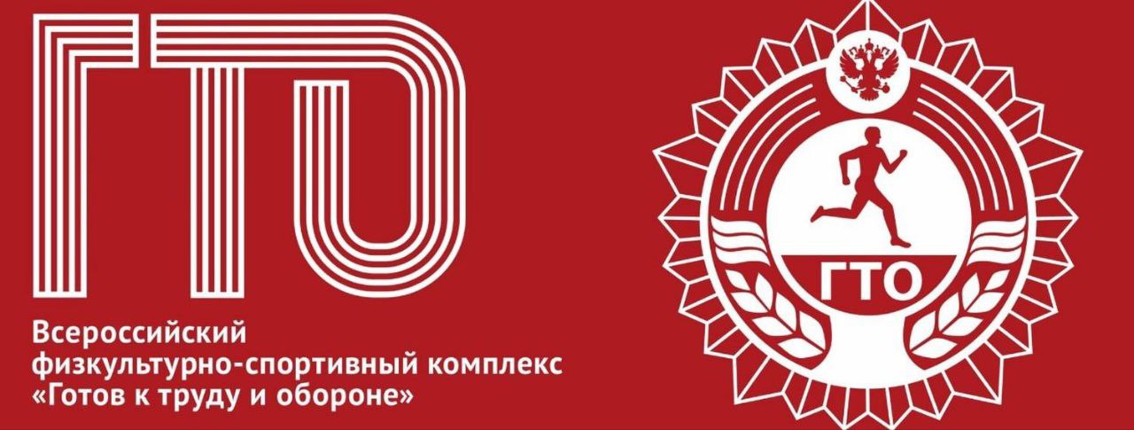 Летний фестиваль Всероссийского физкультурно-спортивного комплекса «Готов к труду и обороне» (ГТО).